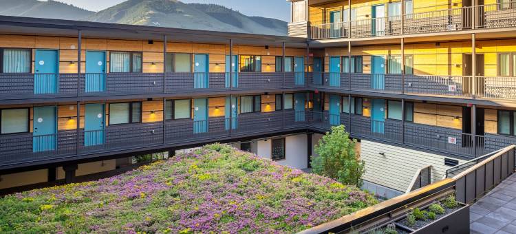 Wren酒店(The Wren)图片