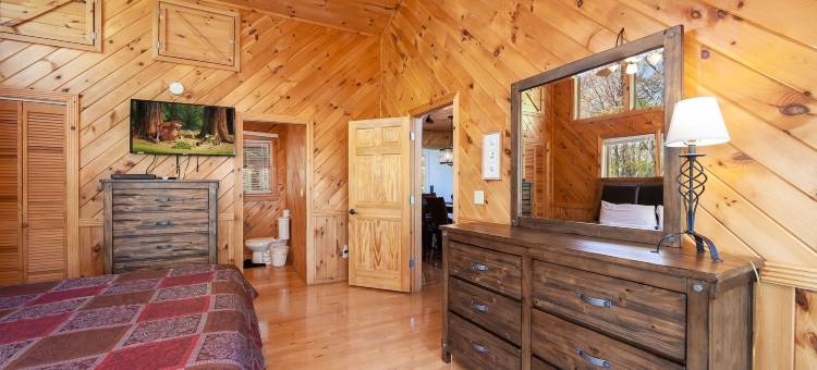 山景Holy Smoky小屋由RedAwning提供(Mountain View Holy Smoky Cabin)图片