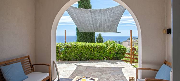 维塔诺瓦(Vita Nova)图片