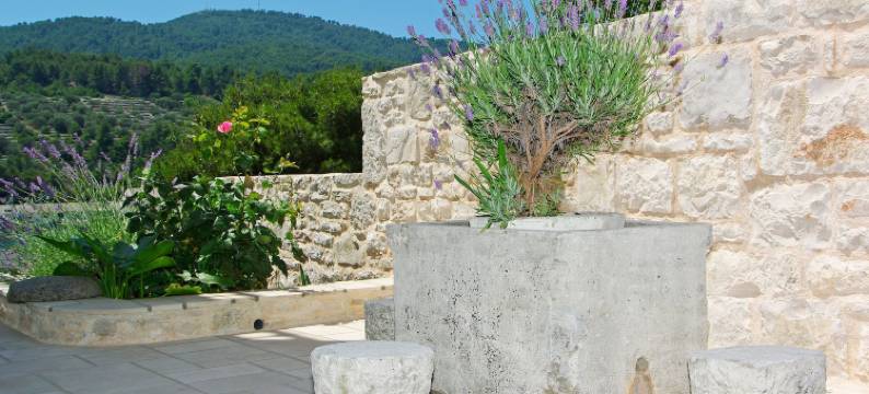 特伦塔别墅酒店(Boutique Hotel Villa Telenta)图片