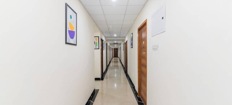 Treebo 拉克希塔(Treebo Rakshitha)图片