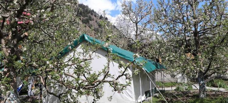 苹果果园农场和露营地(Apple Orchard Farm and Camping)图片