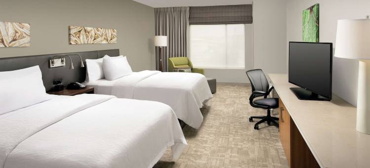 圣安东尼奥机场南希尔顿花园酒店(Hilton Garden Inn San Antonio Airport South, TX)图片