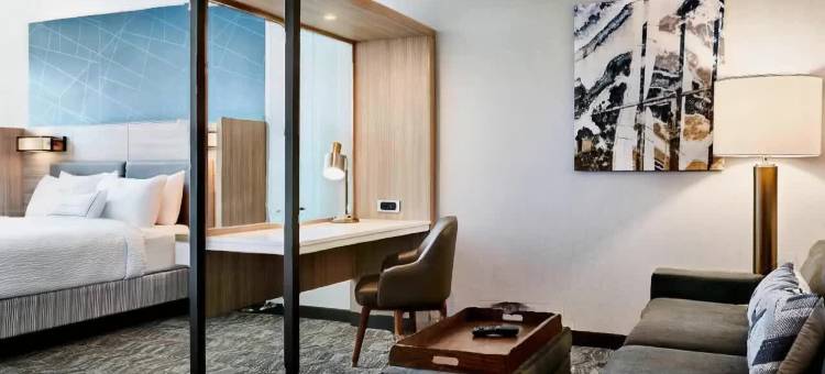 纽约曼哈顿时代广场南万豪春季山丘套房酒店(SpringHill Suites New York Manhattan Times Square)图片