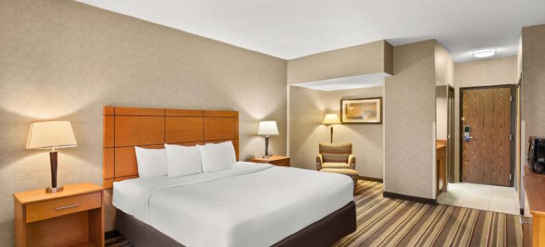 舒适酒店-大都会机场(Comfort Inn Metro Airport)图片