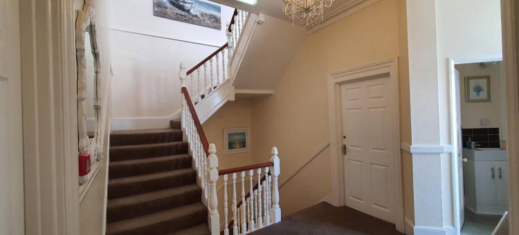 阳光旅馆(Sunny Lodge Guest House)图片