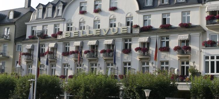 贝尔维尤莱恩酒店(Bellevue Rheinhotel)图片