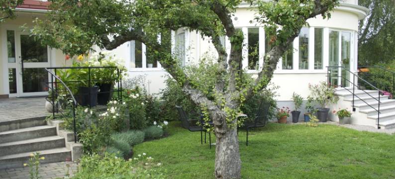 英格丽别墅酒店(Villa Ingrid)图片