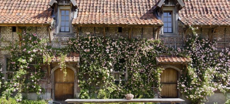 凯尔汉姆城堡住宿加早餐旅馆(B&B Kasteelhoeve de Kerckhem)图片