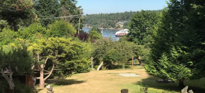 漂流木村度假酒店(Driftwood Village Resort)图片