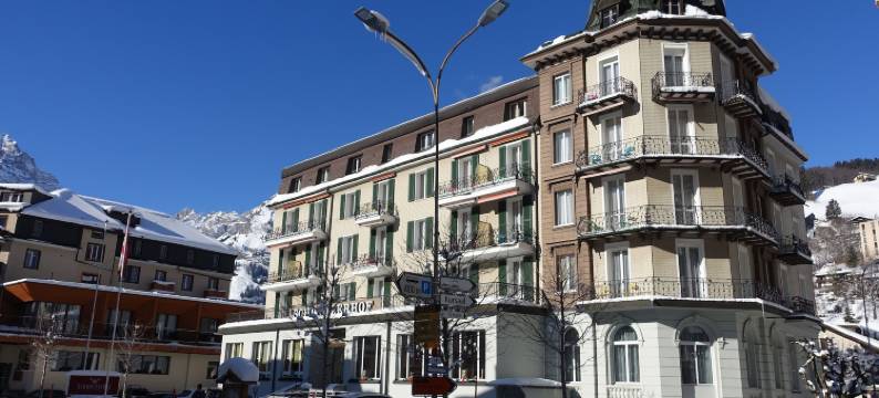 施维泽霍夫酒店(Hotel Schweizerhof)图片