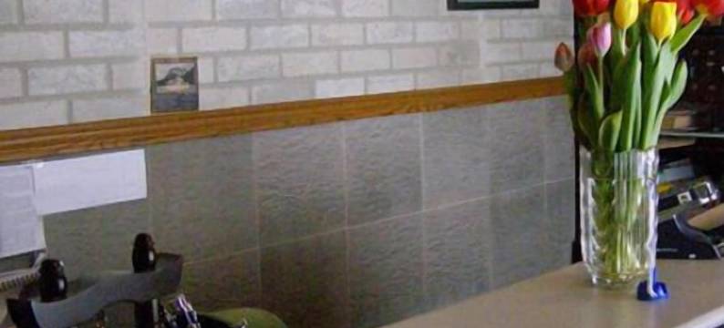 蓝山汽车酒店(Blue Mountain Motel)图片