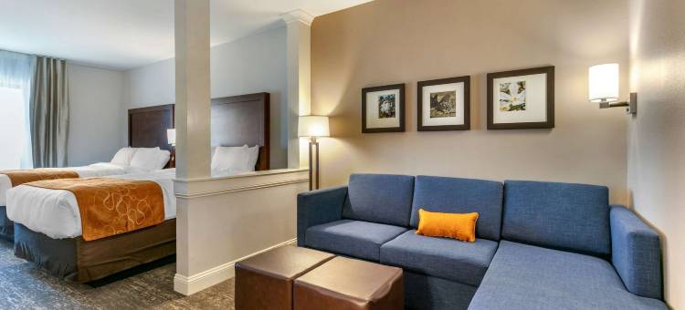 舒适套房(Comfort Suites North Tupelo)图片