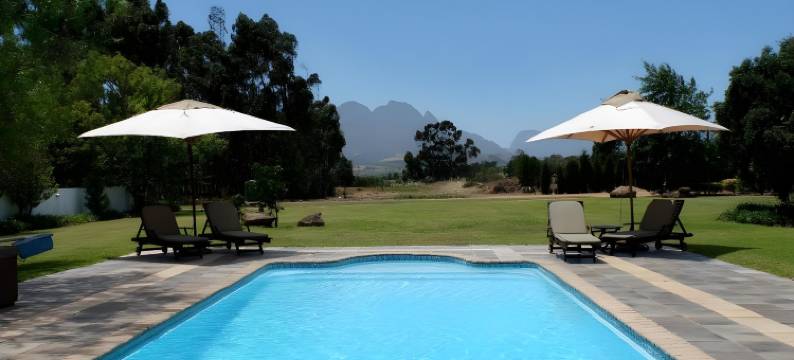 藤蔓旅馆(Vine Guesthouse)图片