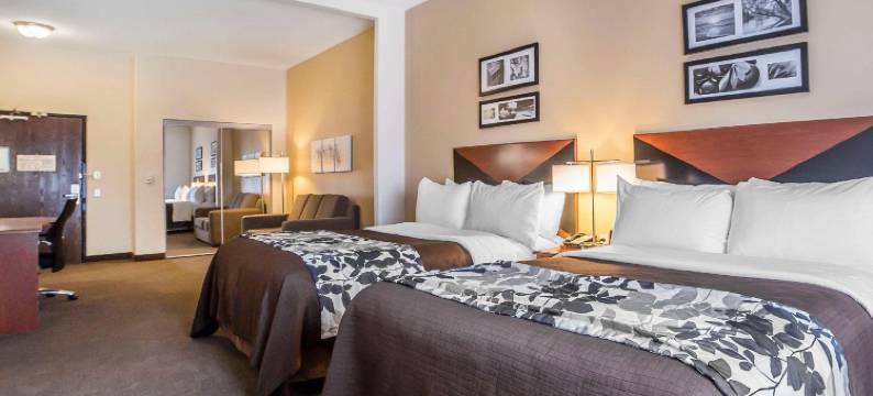 道格拉斯舒眠套房酒店(Sleep Inn & Suites)图片