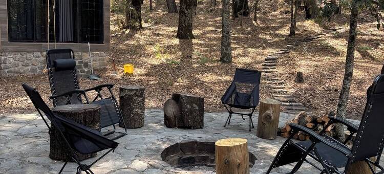 Cabin immersed in 1 hectare of forest. Maximum Internet power (Starlink)图片