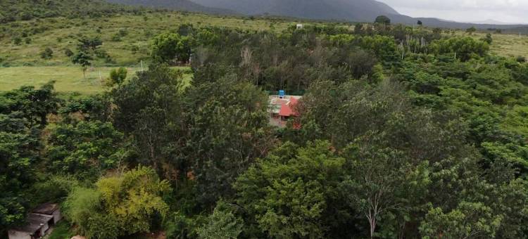 MC野生度假村(MC Resort Wildlife Resort Bandipur)图片