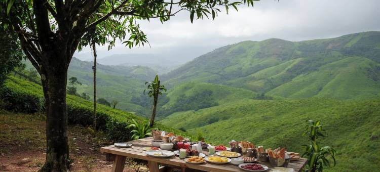 蒙蒂克露营地(Monticle Glamp)图片