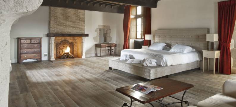 Château in Nouvelle-Aquitaine with Pool & Views图片