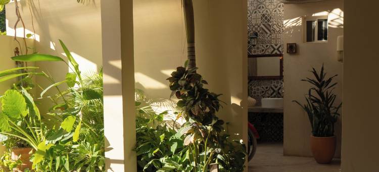 希耶斯塔霍尔柏克斯酒店(Hotel Siesta Holbox)图片