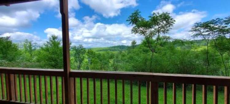 Winterplace Condos - Ski in Ski Out E104图片