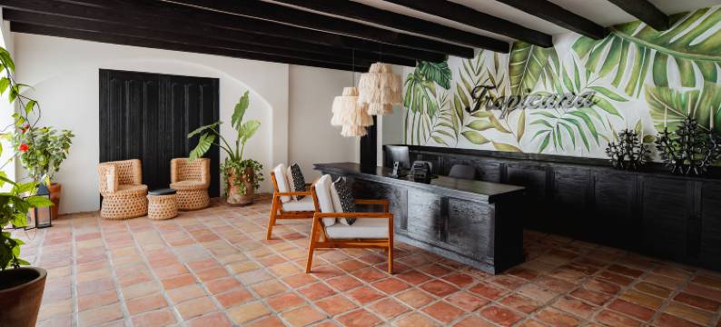 希尔顿塔佩斯特里精选洛斯卡沃斯热带酒店(Tropicana Los Cabos, Tapestry Collection by Hilton)图片