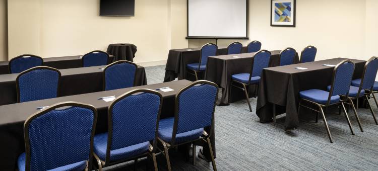 智选假日套房酒店欧文DFW机场北(Holiday Inn Express & Suites IRVING DFW AIRPORT NORTH by IHG)图片