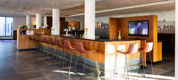 赖斯韦克海牙巴斯迅酒店(Bastion Hotel Den Haag Rijswijk)图片