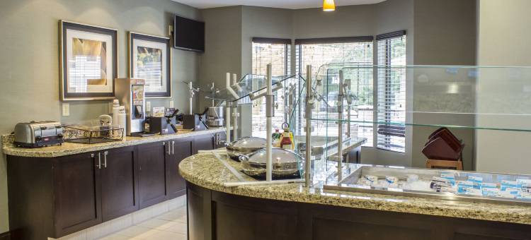 Staybridge Suites 北杰克逊(Staybridge Suites JACKSONVILLE-CAMP LEJEUNE AREA by IHG)图片