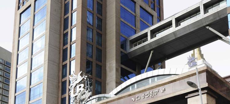 宜必思班加罗尔霍苏路酒店(Ibis Bengaluru Hosur Road)图片