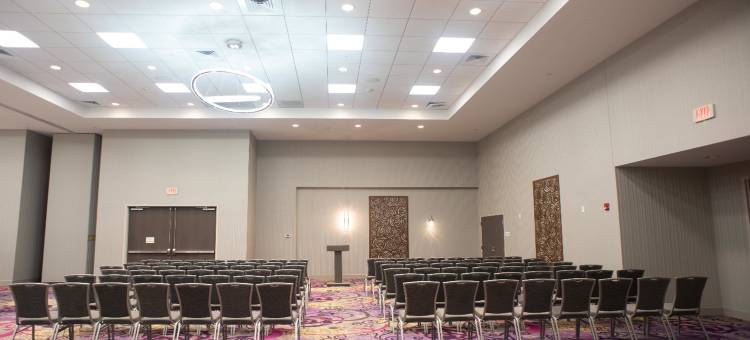 假日套房酒店-乔利埃特西南(Holiday Inn & Suites Joliet Southwest)图片