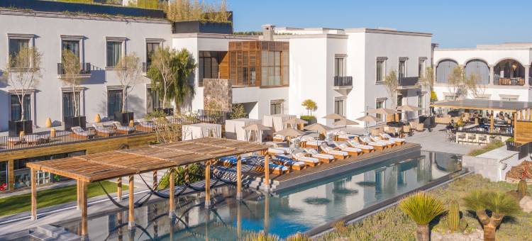 圣米格尔-德阿连德水上生活都市度假村(Live Aqua Urban Resort San Miguel de Allende)图片