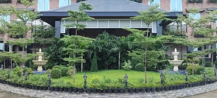 梅菲尔Purnea(Mayfair Purnea)图片