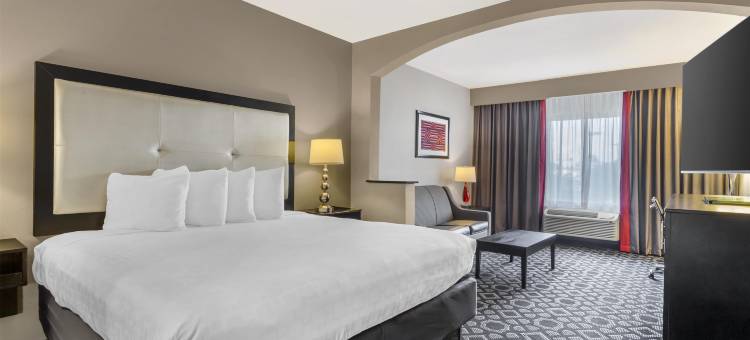 拉雷多贝斯特韦斯特优质套房酒店(Best Western Plus Laredo Inn  Suites)图片