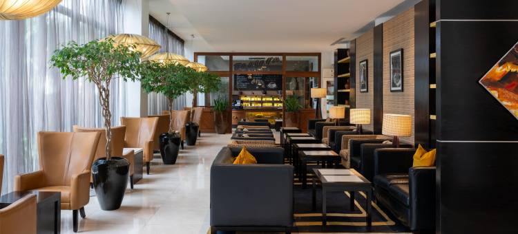 亚的斯亚贝巴丽笙酒店(Radisson Blu Hotel, Addis Ababa)图片