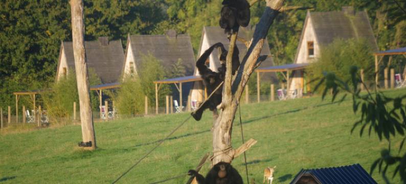 CERZA野生动物园小屋(Cerza Safari Lodge)图片