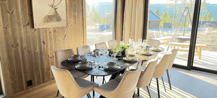 豪华度假屋，滑雪，桑拿，远程办公(Luxury Holiday Home, Skiing, Sauna, Remote Office)图片