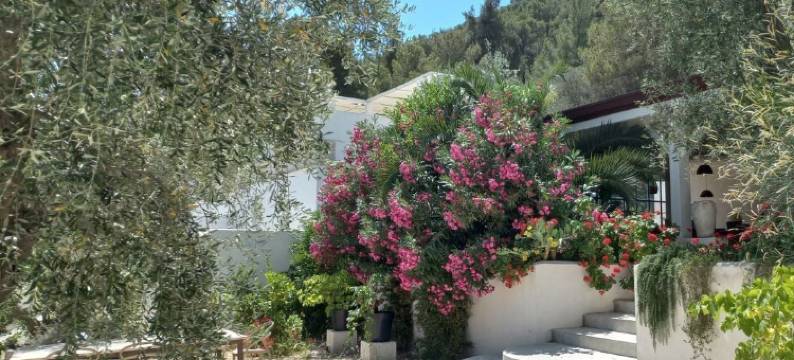 维格纳诺蒂卡的HMO豪华露营及套房(Hmo Glamping & Suites in Vignanotica)图片