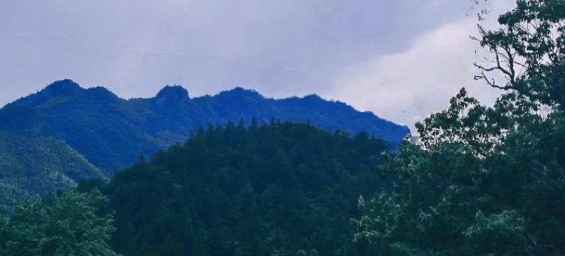 无奢山居野营民宿图片