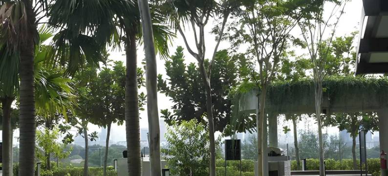 Lumi Tropicana by Livora Haus图片