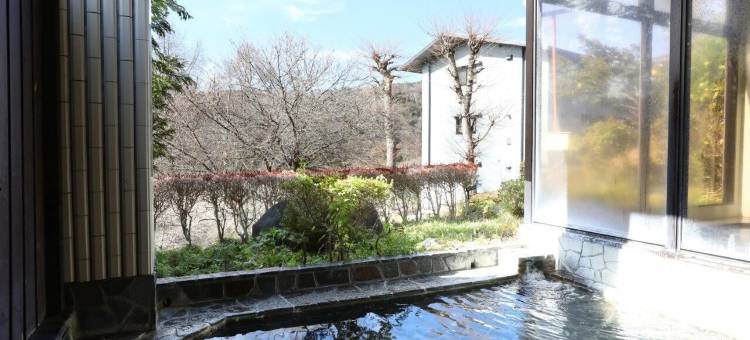 山中湖 新星 酒店(NEW STAR HOTEL YAMANAKAKO)图片