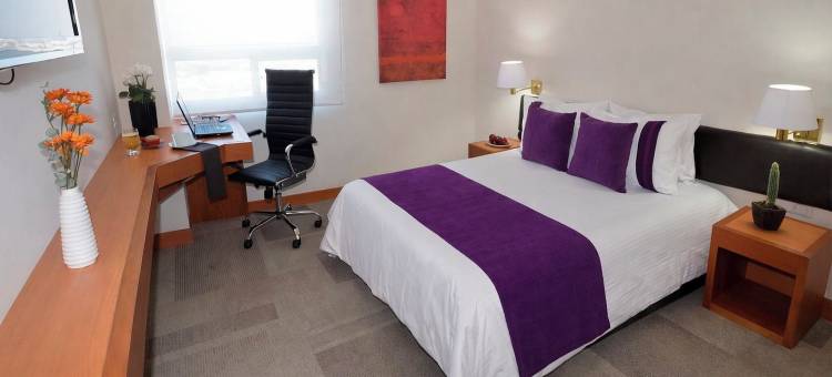 Hotel Lois Express Monterrey Aeropuerto la Fe图片
