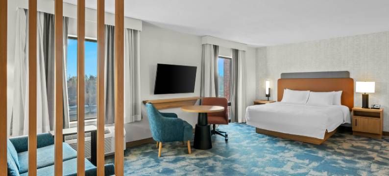 底特律坎顿欢朋套房酒店(Hampton Inn & Suites Detroit-Canton)图片