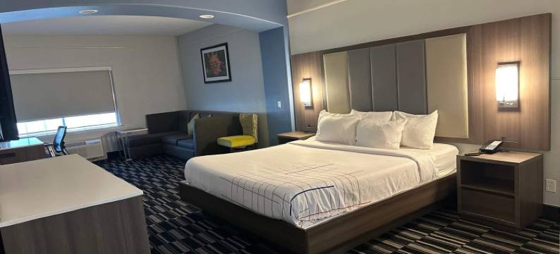 麦卡伦东阿拉莫拉昆塔温德姆套房酒店(La Quinta Inn & Suites by Wyndham Alamo - McAllen East)图片