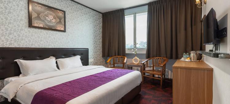 紫藤酒店(Hotel Vistaria)图片