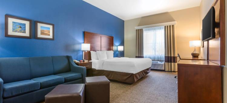 尤马I-8舒适套房酒店(Comfort Inn and Suites Yuma I-8)图片