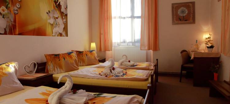 斯塔拉斯科拉酒店(Hotel Stará škola na Šumavě)图片