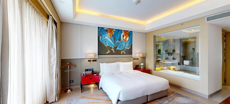 法里达巴德丽笙酒店(Radisson Blu Faridabad)图片