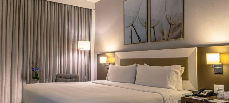 Holiday Inn 贝洛奥里藏特(Holiday Inn BELO HORIZONTE SAVASSI by IHG)图片