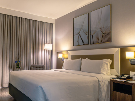 Holiday Inn 贝洛奥里藏特